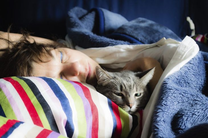 Почему кошки любят спать с хозяевами Esli-koshka-lyubit-spat-v-vashej-posteli-chto-eto-znachit-01