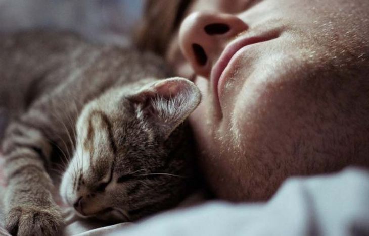 Почему кошки любят спать с хозяевами Esli-koshka-lyubit-spat-v-vashej-posteli-chto-eto-znachit-02